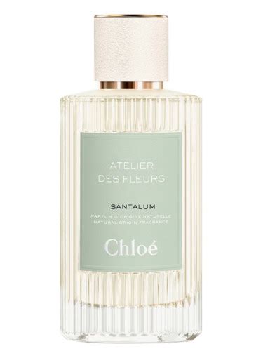 Santalum Chloé for women and men 